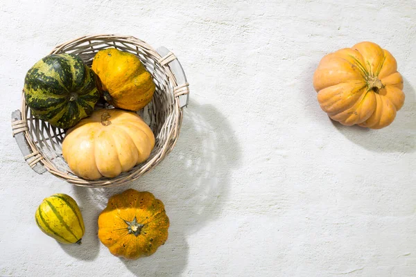 Zucche Arancioni Halloween Isolato Sfondo Bianco Posa Piatta Vista Dall — Foto Stock