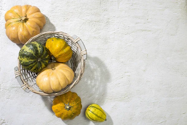 Pomarańczowe Dynie Halloween Izolowane Białym Tle Płaskie Łóżko Widok Góry — Zdjęcie stockowe