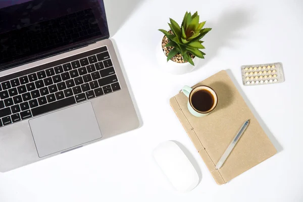 Laptop Planta Suculenta Artificial Bloc Notas Bolígrafo Sobre Mesa Blanco — Foto de Stock