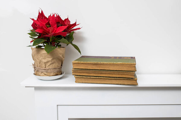 A poinsettia in a pot wrapped in craft beige paper tied with string stands on a white fireplace decorating the room