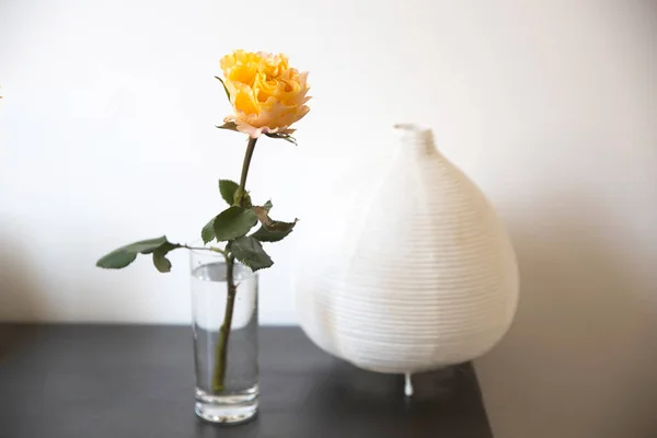Bouquet One Orange Rose Glass Vase Lamp Black Table Copy — Stock Photo, Image