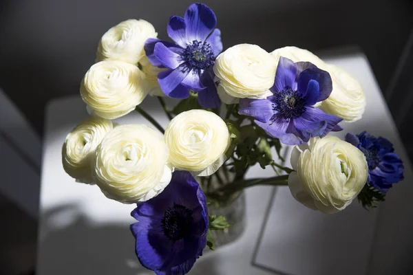 在白桌子上的花瓶里 有一束白色的兰花和蓝色的茴香 — 图库照片
