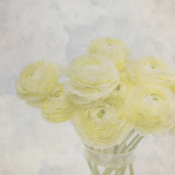 Bouquet Ranunculus Jaune Dans Vase Verre Sur Fond Gris Pâle — Photo