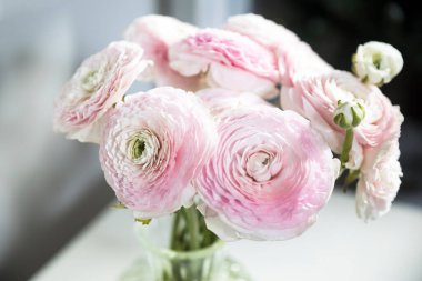 Soluk pembe İran düğün çiçeği buketi soluk gri üzerine izole edilmiş. Boşluğu kopyala