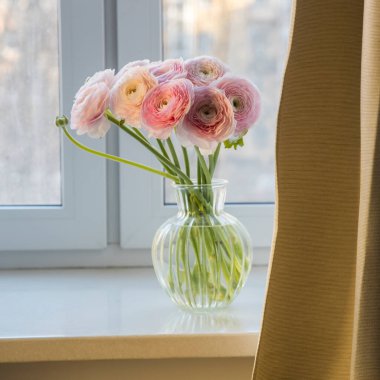 Pembe İran çiçeği buketi cam yuvarlak vazoda beyaz bir yapay taş pencere eşiğinde bir perdenin arkasında. Boşluğu kopyala