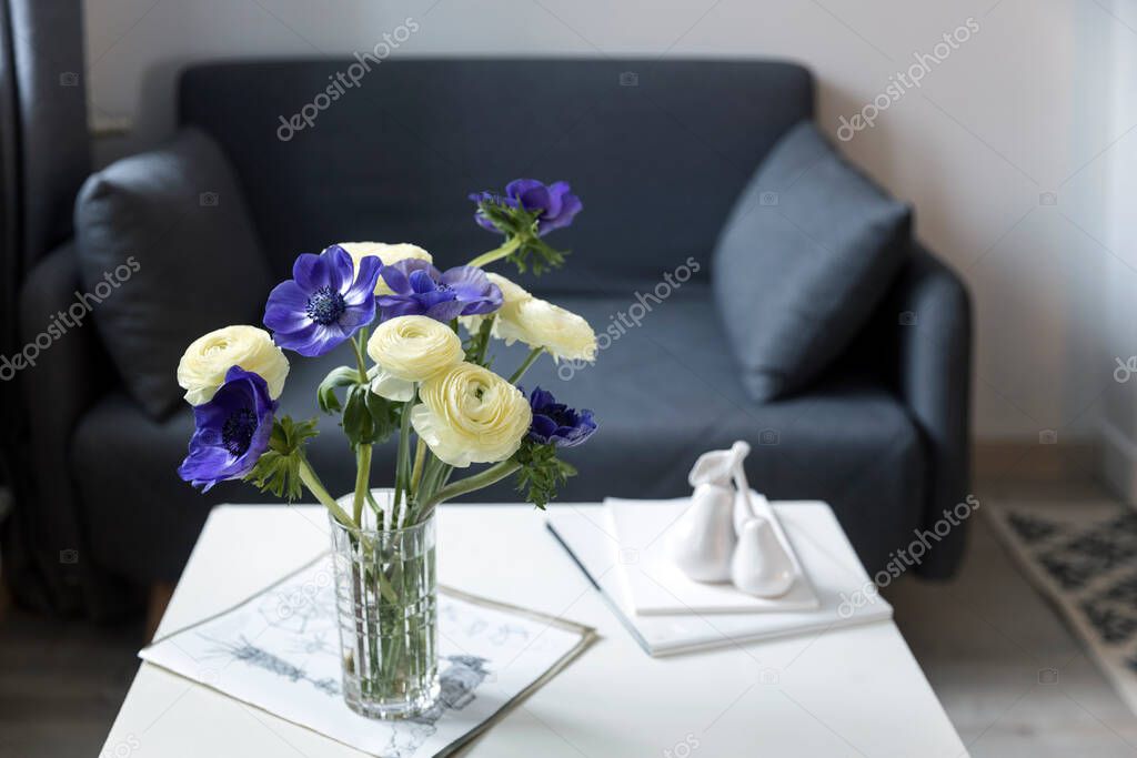 Bouquet of white ranunculus and blue anemone in the vase on a white table. Shadow. Interior with gray sofa and white coffee table. Figurine of pears on a notebook and a vase of flowers