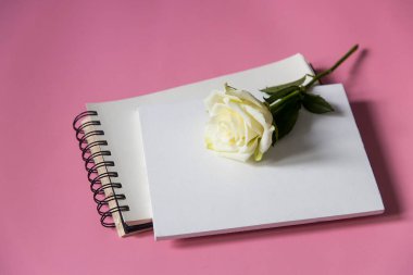 Beyaz gül beyaz defterin üzerinde. Uzayı kopyala Pembe arkaplan