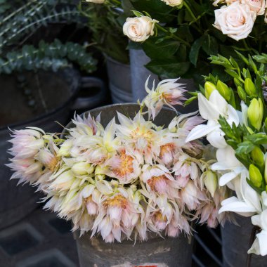 Bir buket frezya, lisianthus ve nigella ve okaliptüs bir çiçekçide satılıyor. Açık hava.
