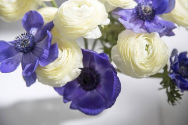 Beyaz bir masadaki vazoda bir buket beyaz ranunculus ve mavi şakayık. Gölge