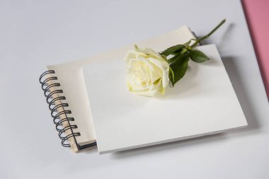 Beyaz gül beyaz defterin üzerinde. Boşluğu kopyala