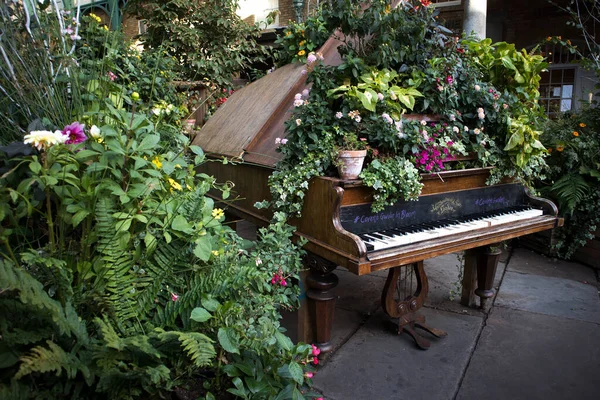 London, UK - 29 September 2020, A grand piano in the bushes as a decoration for the entrance to the Covent garden market. Green garden