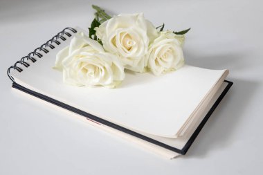 Beyaz gül beyaz defterin üzerinde. Boşluğu kopyala