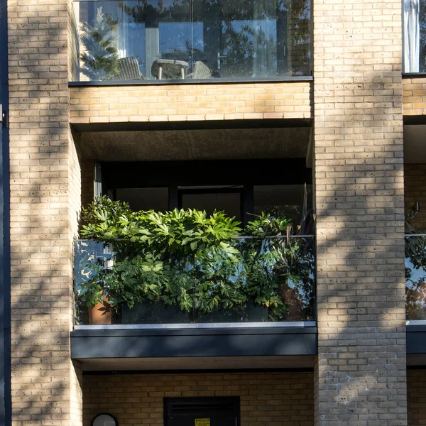 London September 2020 Green Plants Glass Balcony Brick Building — Stock Photo, Image