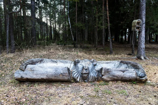 Drewniana Ławka Wykonana Pnia Upadłego Drzewa Kształcie Rosyjskiego Niedźwiedzia Parku — Zdjęcie stockowe