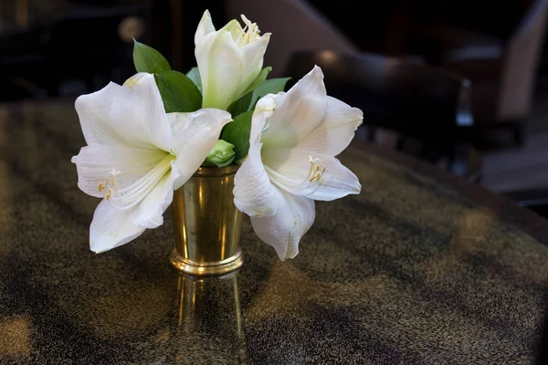 Vita Amaryllis Blommor Stålvas Som Dekoration För Matbordet — Stockfoto