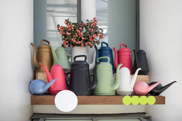 Various Types Multi Colored Plastic Watering Cans Bouquet Dried Hawthorn — Φωτογραφία Αρχείου