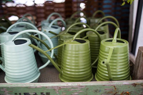 Various Types Green Plastic Watering Cans Bouquet Dried Hawthorn Window — Stock Photo, Image