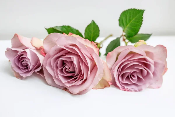 桌上放着三朵淡紫色的玫瑰 作为婚宴的装饰 设计卡片 — 图库照片