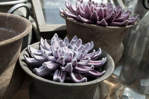 Keramisch Beeldje Paars Roze Echeveria Een Potje Klei Als Tuindecoratie — Stockfoto