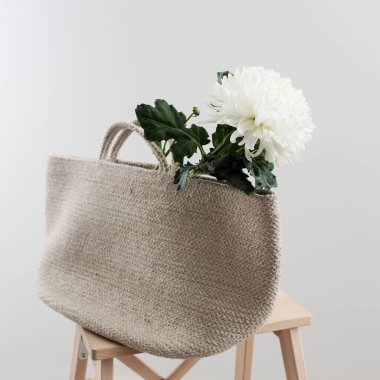 Taburede duran plaj çantasındaki büyük beyaz kasımpatı. Kutsanmış. Boşluğu kopyala