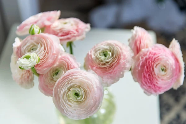 Ramo Rosado Pálido Persa Buttercups Aislado Sobre Gris Pálido Fragmento —  Fotos de Stock