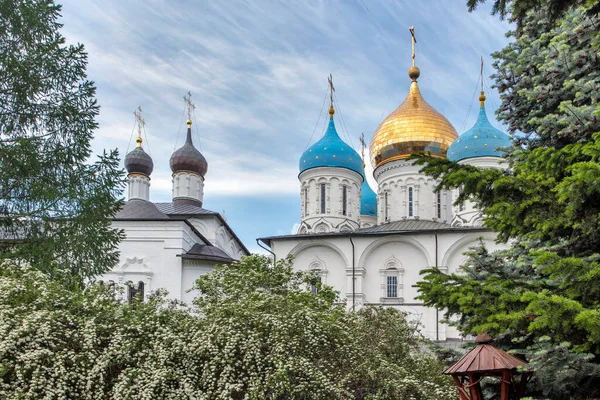 Moscow Russia May 2020 Domes Novospassky Monastery Blooming Spiraea New — Stock Photo, Image