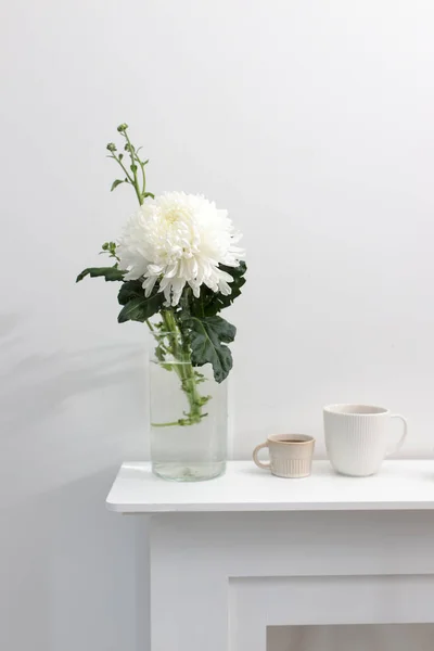 Eine Große Chrysantheme Einer Glasvase Zwei Geriffelte Tassen Kaffee Und — Stockfoto