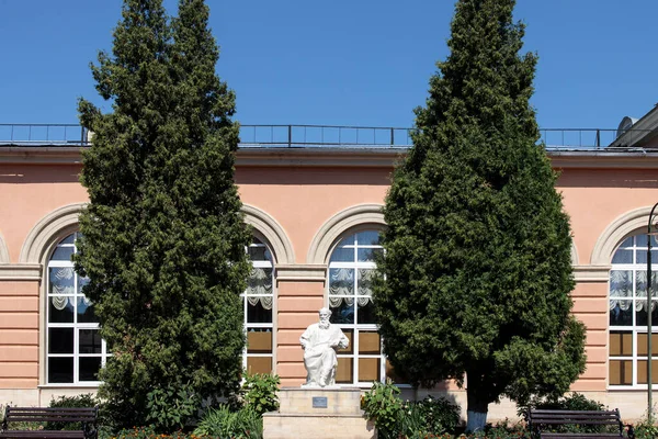 Shchekino Tula Region Ryssland Juni 2021 Monument Över Leo Tolstoy — Stockfoto