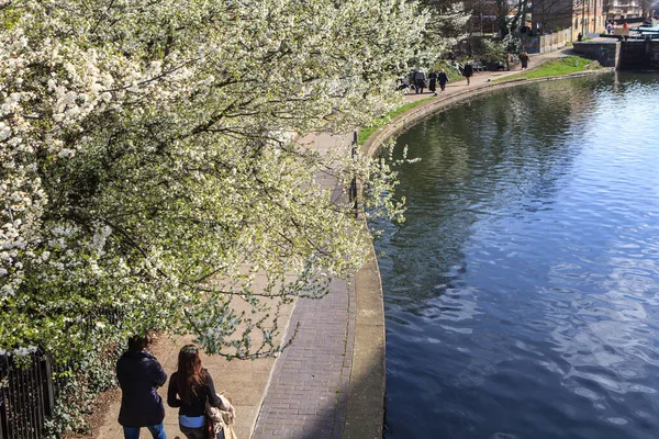 Londra Ngiltere Nisan 2020 Nsanlar Regent Kanalı Boyunca Yürür Çiçek — Stok fotoğraf
