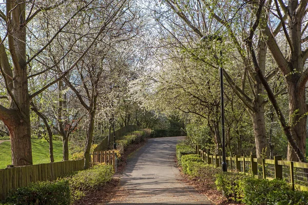 Wejście Parku Wczesną Wiosną Chodnik Ogrodzenia Bokach — Zdjęcie stockowe