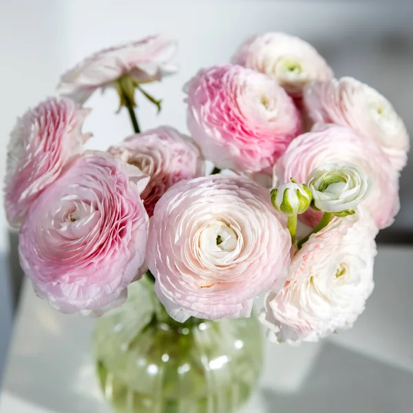 Букет Бледно Розовых Персидских Лютиков Изолированных Бледно Сером Каркас — стоковое фото