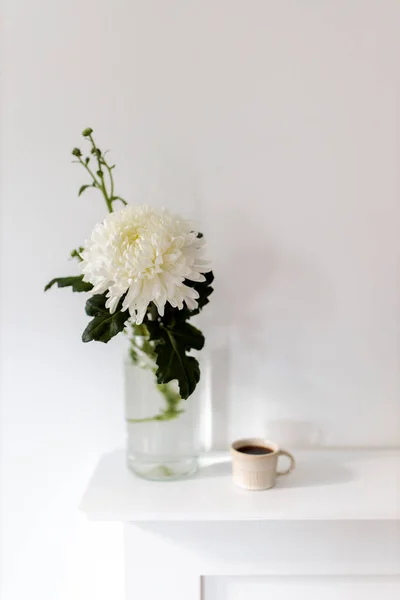 Eine Große Chrysantheme Einer Glasvase Zwei Geriffelte Tassen Kaffee Stehen — Stockfoto