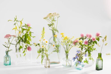 Dekorasyon olarak beyaz-gri arka planda farklı şekillerde yabani otlar. Kart, beyaz arka planda bitkilerle birlikte gerekli yağ şişesi