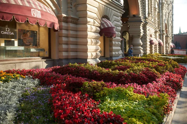 Moscou Rússia Agosto 2021 Canteiros Flores Com Begônias Vários Tipos — Fotografia de Stock
