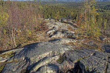 Hiidenvuori Dağı, Taiga manzarası. Zirvesinde nefes kesen manzaralı manzaralar sunuluyor. Yükseklik 117 metre. Ladoga Skerries Ulusal Parkı ve Yanisjoki Nehri manzarası. Karelya