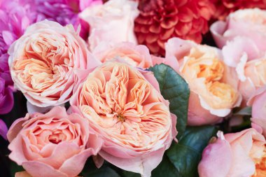 Düğün buketinde okaliptüslü pembe ve turuncu şakayık gülleri. Yukarıdan görüntüle