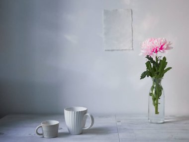 İskandinav tarzı. İç dizayn. Uzun cam bir vazoda büyük pembe kasımpatı. Farklı boyutlarda iki fincan. Duvarda iki boş kağıt var. Metin için boş boşluk