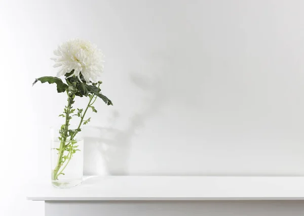 Grande Crisântemo Branco Vaso Vidro Transparente Que Fica Uma Mesa — Fotografia de Stock