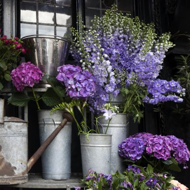 Çayır çiçek lupines, düğünçiçekleri, bluebells ve Aquilegia bir buket Hawthorn.