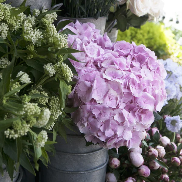 Varietà variopinta di fiori venduti nel mercato di Londra . — Foto Stock