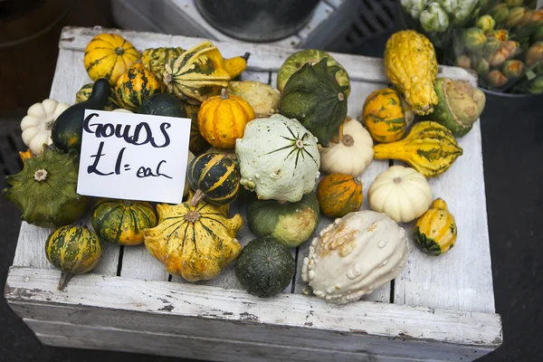 Citrouilles décoratives — Photo