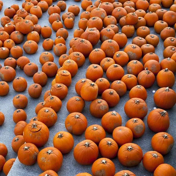 Halloween-Kürbisse — Stockfoto