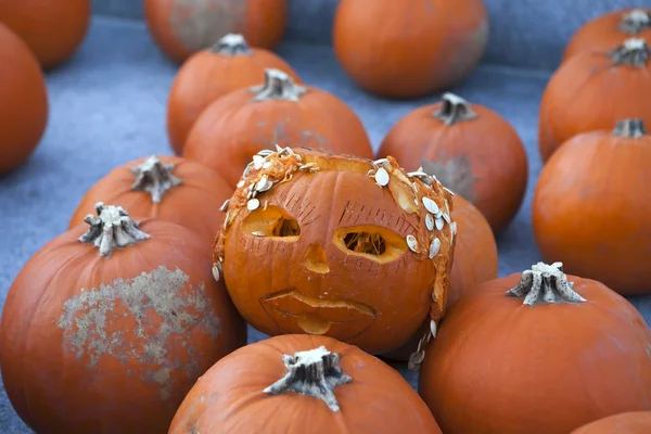 Halloween Pumpkins — Stock Photo, Image
