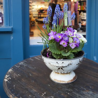 Renkli taze bahar çuha çiçeği çiçek sokak Cafe ahşap tablo tencerede