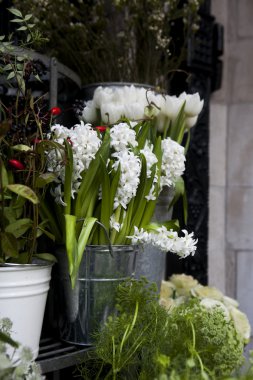 sümbül çiçekleri