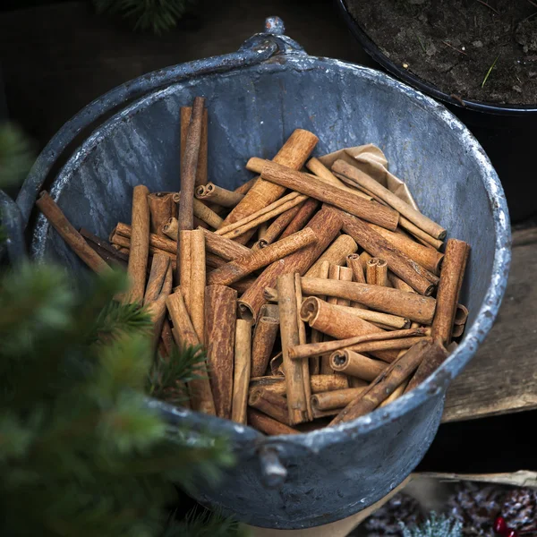 Bastoncini di cannella e albero di Natale — Foto Stock