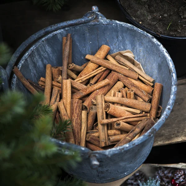 Bâtonnets de cannelle et sapin de Noël — Photo