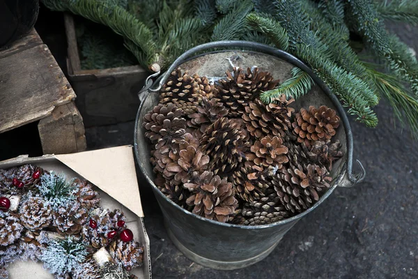 Outono natureza cena em floresta de pinheiros com cesta cheia de cones de pinho no chão . — Fotografia de Stock