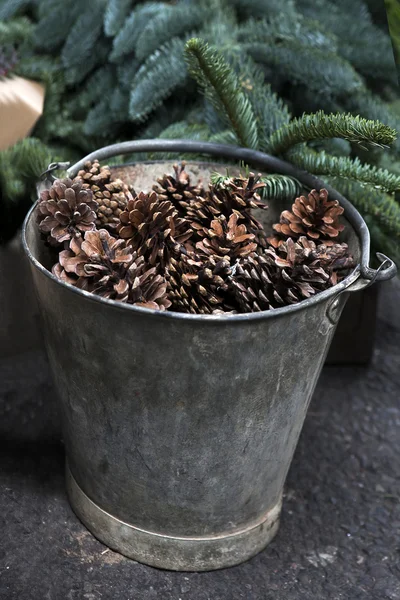 Outono natureza cena em floresta de pinheiros com cesta cheia de cones de pinho no chão . — Fotografia de Stock