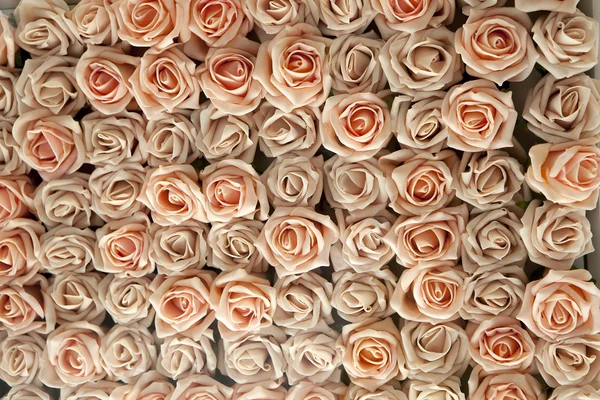 Розовые розы фон — стоковое фото